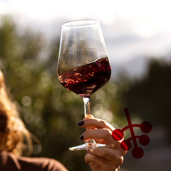 Calice di vino tra le vigne